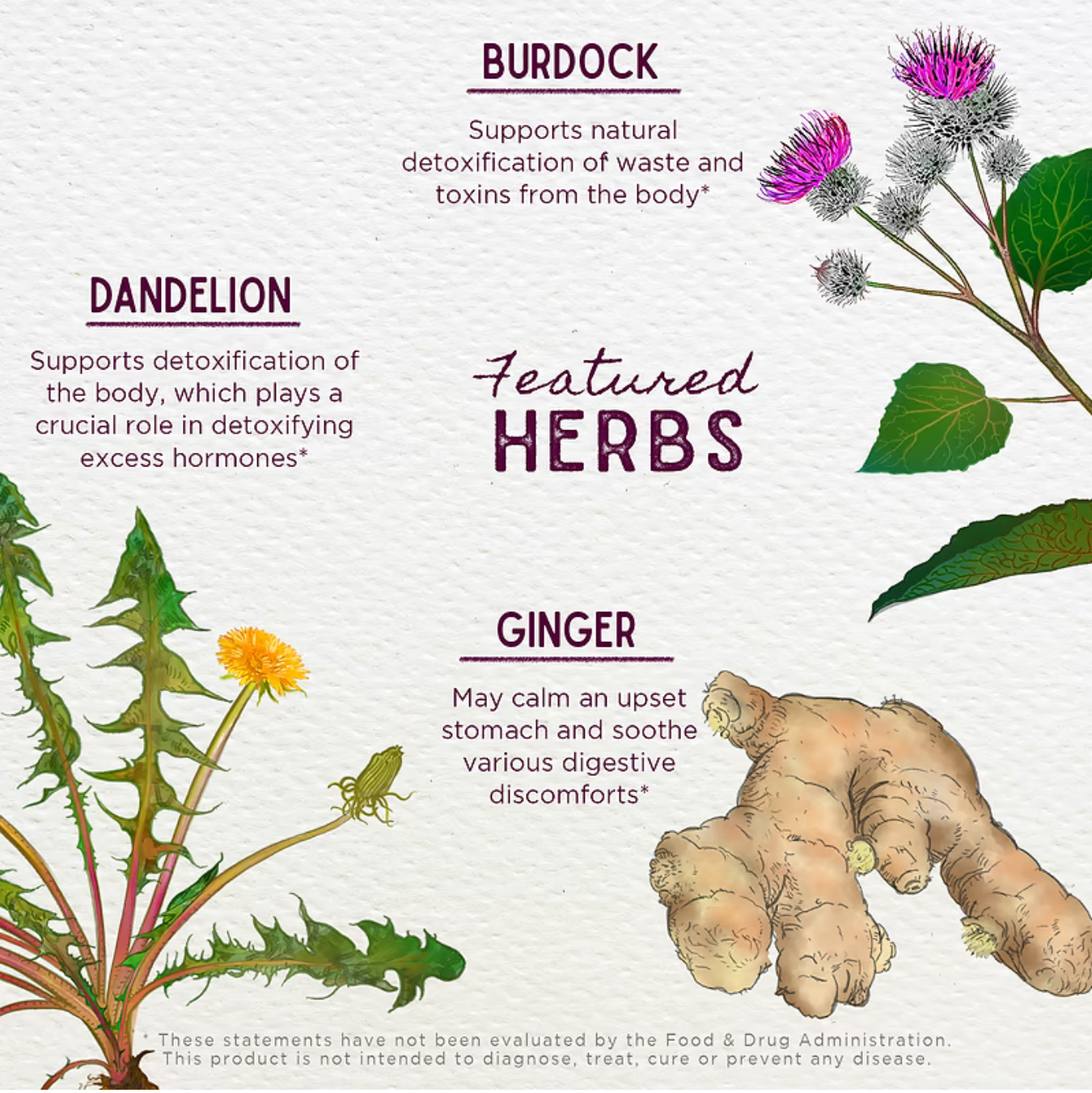 Wish Garden Morning Sickness Nausea Relief
